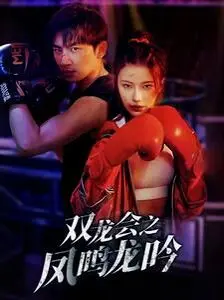 《双龙会之凤鸣龙吟》：当功夫喜剧遇上替身梗，笑到飙泪的港片回忆杀！