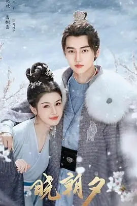 《晓朝夕》：穿越时空的爱恋，当忠诚遇上命运的洪流，情仇如何了断？