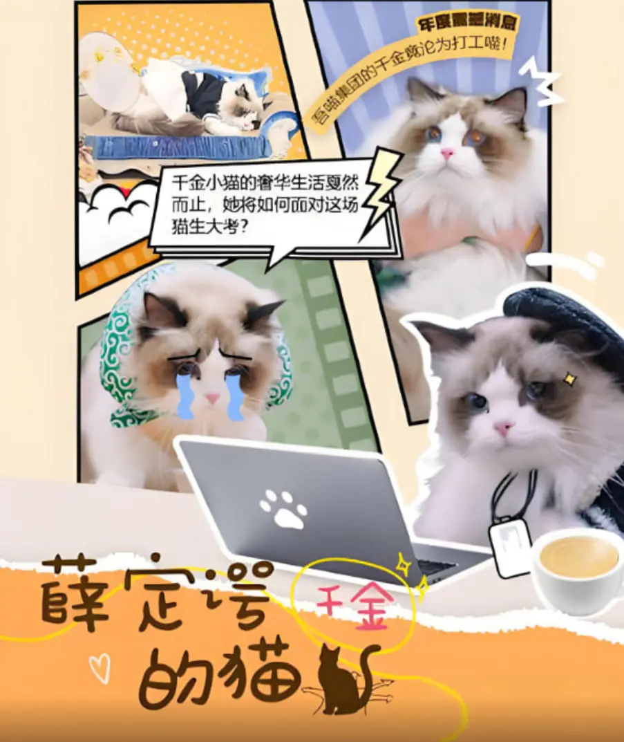 《薛定谔的猫》：量子纠缠与人性迷雾的科幻探险