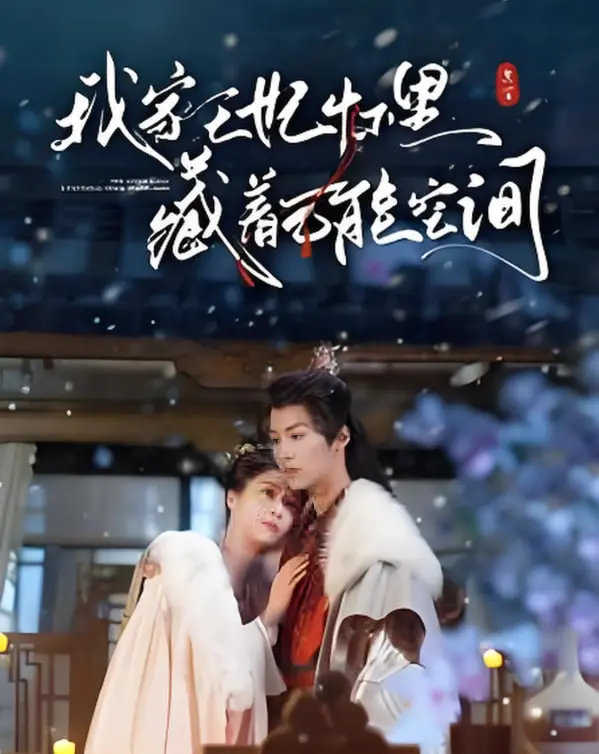 《我家王妃怀里藏着万能空间》：古代宅斗宫斗升级！王妃携空间逆袭，看现代智慧如何秒杀古代套路！